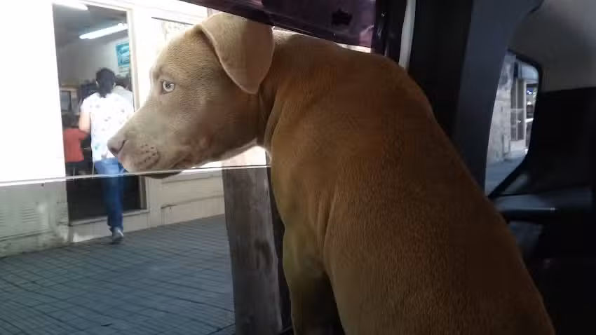 Cerrajeria automotor y hogar Las Mercedarias