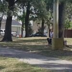 Cerrajeria el Pipi Cazorla