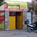 Cerrajer&iacute;a leo